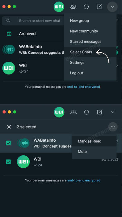 WhatsApp Multiple Chat