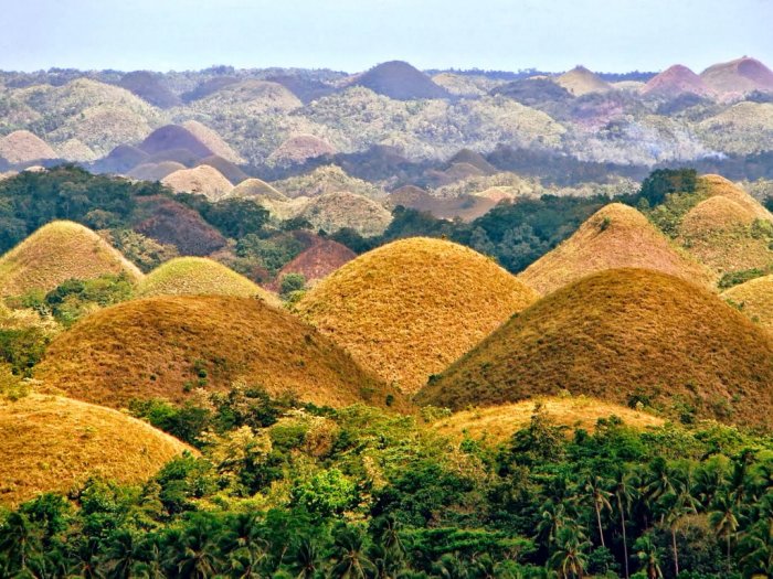 Chocolate Hills Ribuan Bukit Berwarna Cokelat di Filipina