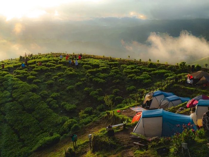 7 Tempat Wisata Terbaik di Pangalengan Bandung Vibesnya Bikin Candu Cocok Buat Healing
