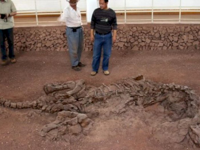 Peneliti Berhasil Temukan Sisa-sisa Kolagen dan Protein pada Tulang Rusuk Dinosaurus