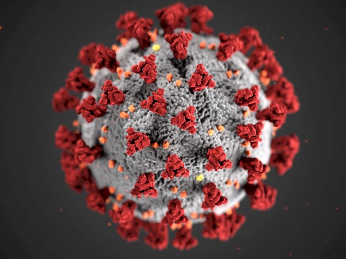 Tim Pentagon Ungkapkan Chip Pendeteksi COVID-19 yang Bisa Dipasangkan ke Tubuh