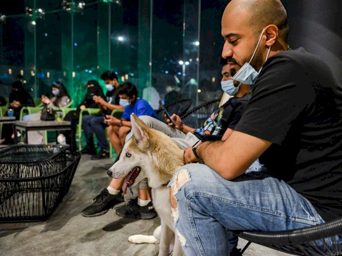 Arab Saudi Kini Kehadiran Cafe Anjing Diberi Nama The Barking Lot