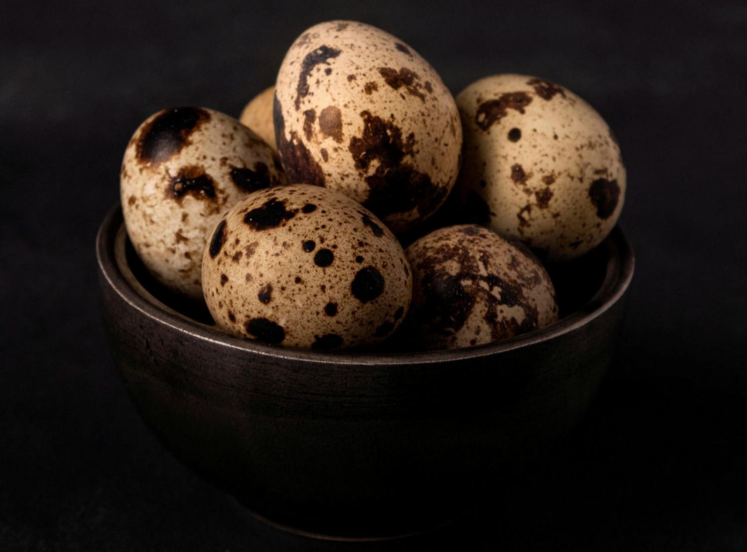Awas Telur Puyuh Menyimpan Bahaya Kolesterol