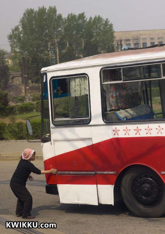 Bus Kwikku, Bus