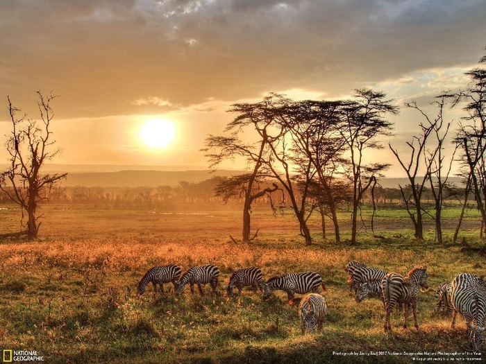 The Sunset of Lake Naivasha karya Jacky Siu Kwikku, The Sunset of Lake Naivasha karya Jacky Siu