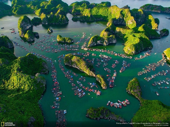 Lan Ha Bay karya Son Tong Kwikku, Lan Ha Bay karya Son Tong