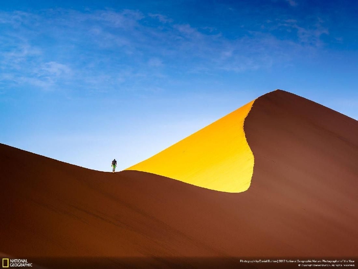 Tintin and The Dunes karya Daniel Burton Kwikku, Tintin and The Dunes karya Daniel Burton