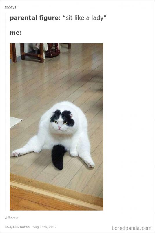 Duduk Kwikku, Duduk