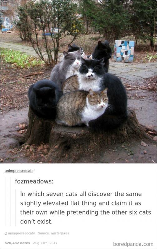 I fit I sit Kwikku, I fit I sit