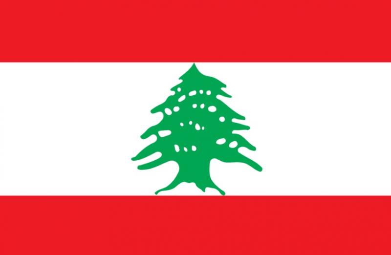 Wanita kelahiran Lebanon yang berimigrasi di Amerika Kwikku, Wanita kelahiran Lebanon yang berimigrasi di Amerika
