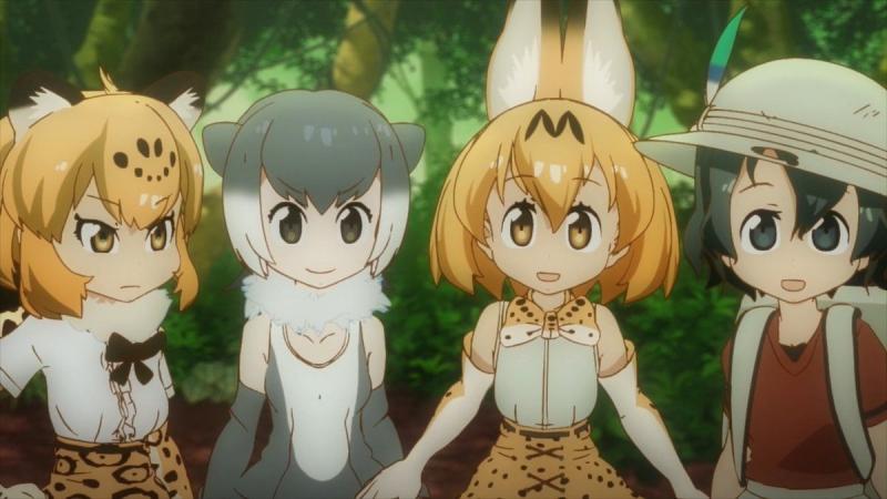 Kemono Friends Kwikku, Kemono Friends