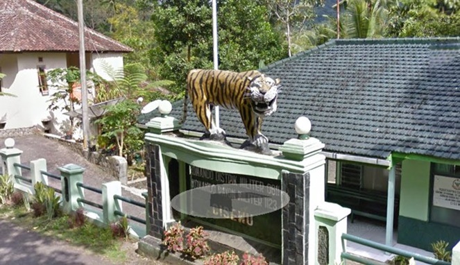 Penampakan Macan Cisewu Kwikku, Penampakan Macan Cisewu