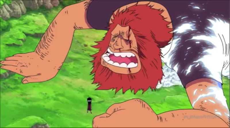 Jaguar D Sauro Kwikku, Jaguar D Sauro