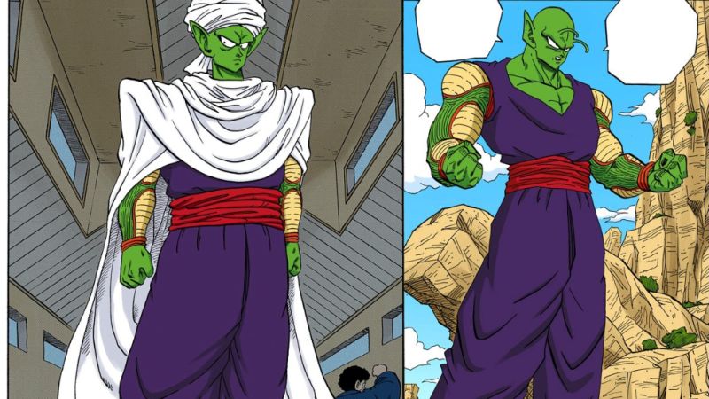 Piccolo Kwikku, Piccolo