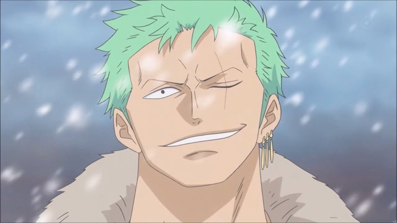 Roronoa Zoro Kwikku, Roronoa Zoro