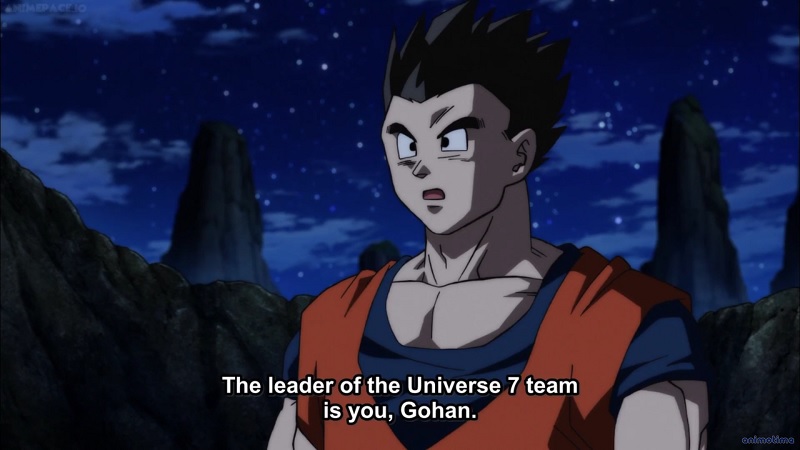 Son Gohan Kwikku, Son Gohan