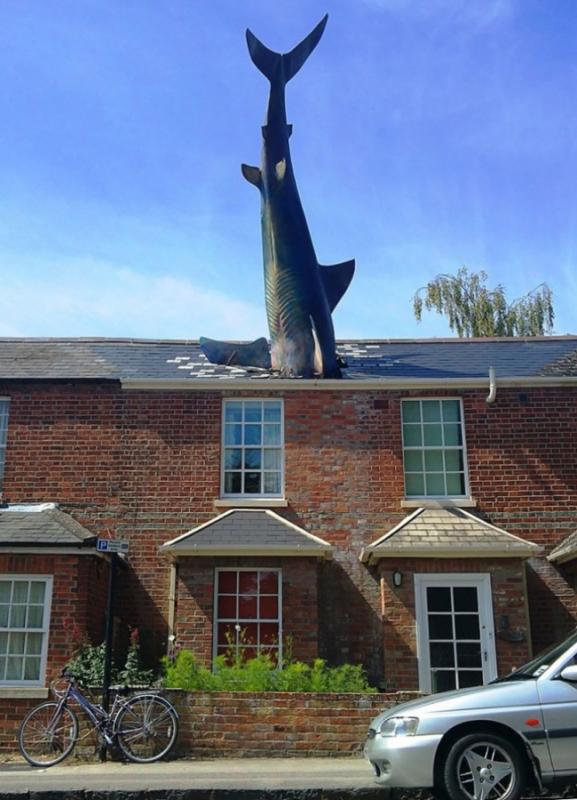 Headington Shark Kwikku, Headington Shark