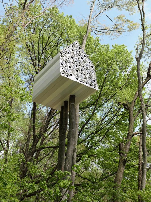 A Human Birdhouse Jepang Kwikku, A Human Birdhouse Jepang