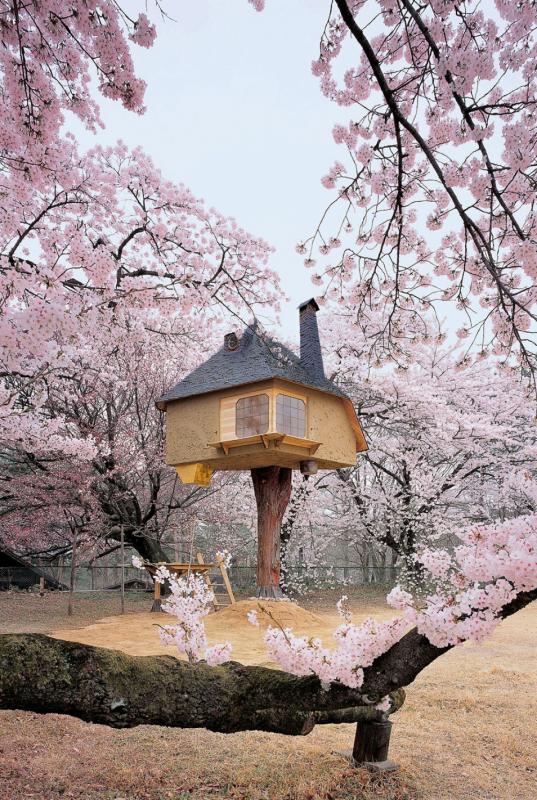 A House in Blossom Japan Kwikku, A House in Blossom Japan