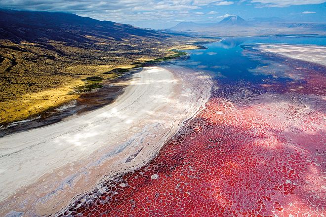 Lake Natron di Tanzania yang seperti Danau Darah Kwikku, Lake Natron di Tanzania yang seperti Danau Darah