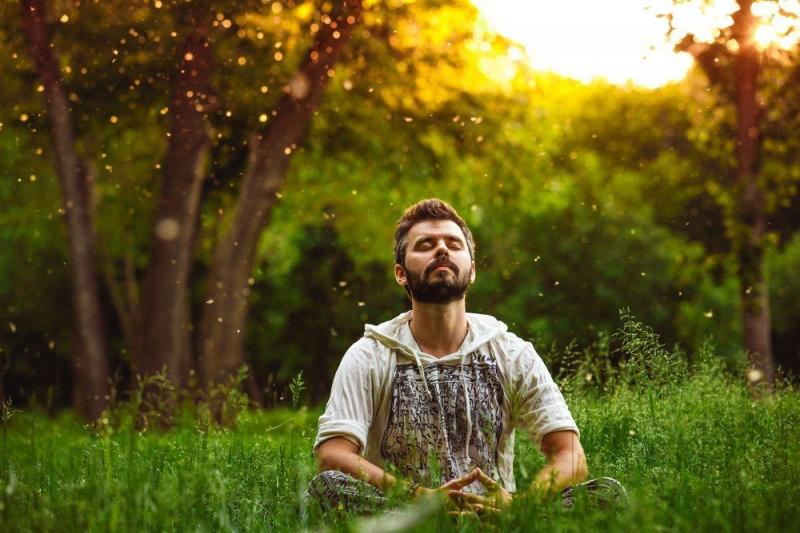 Cobalah bermeditasi Kwikku, Cobalah bermeditasi