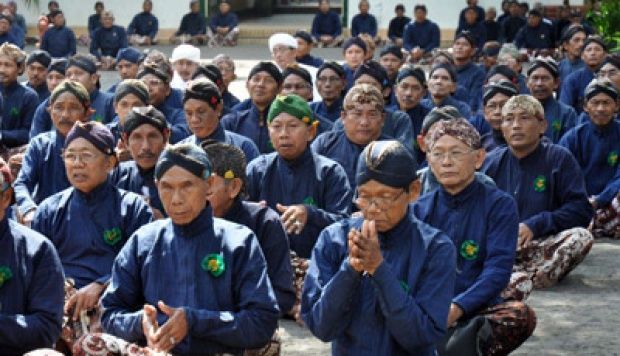 Mudah beradaptasi dengan lingkungan Kwikku, Mudah beradaptasi dengan lingkungan
