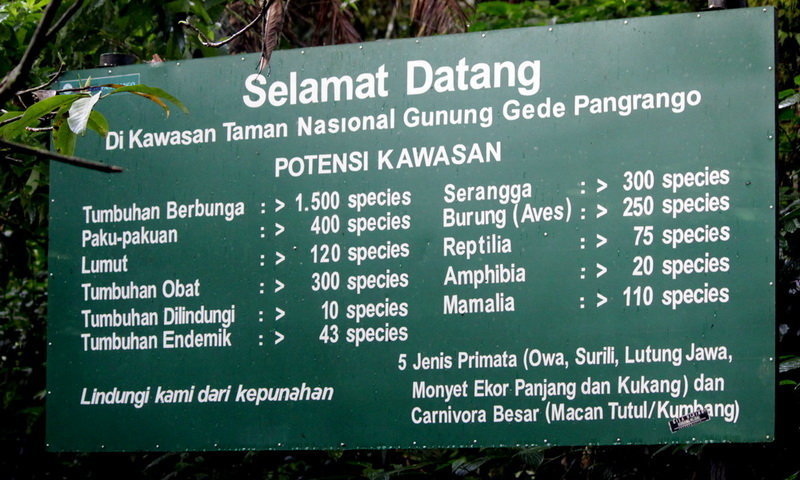Taman Nasional Gunung Gede Pangrango Kwikku, Taman Nasional Gunung Gede Pangrango