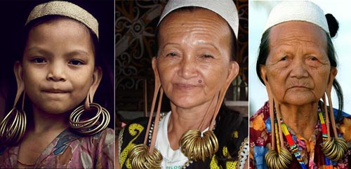 Kuping Menjuntai Sampai Pundak Kwikku, Kuping Menjuntai Sampai Pundak