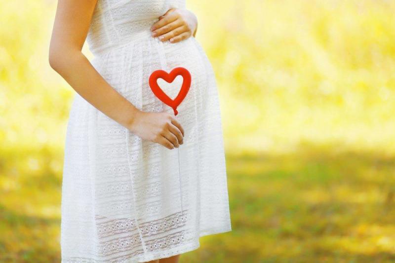 Anak dan Istri Jadi Korban Kwikku, Anak dan Istri Jadi Korban