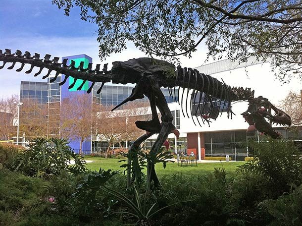 Punya Dinosaurus Kwikku, Punya Dinosaurus