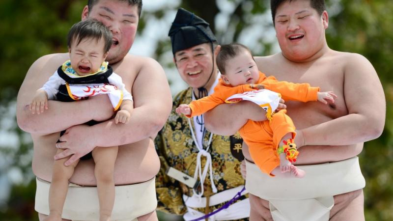 Lomba Menangis Bayi Di Jepang Kwikku, Lomba Menangis Bayi Di Jepang