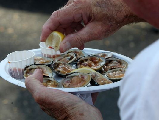 Kerang Kwikku, Kerang