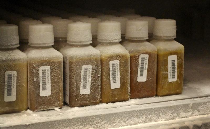 Obat Dari Kotoran Manusia Kwikku, Obat Dari Kotoran Manusia