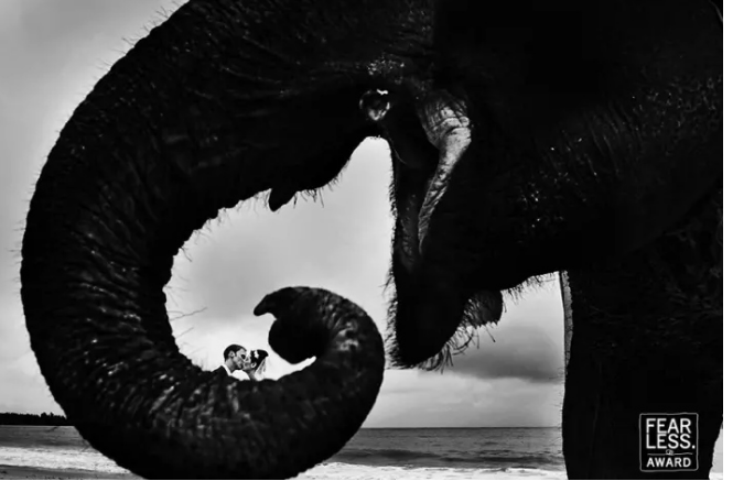 Seolah bersembunyi dibalik belalai gajah Kwikku, Seolah bersembunyi dibalik belalai gajah