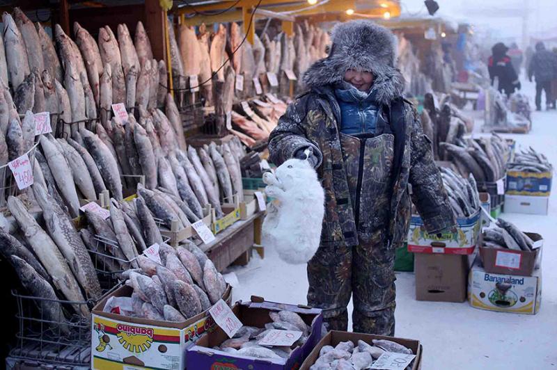 Kwikku, Kemudian pemerintah Uni Soviet menetapkan daerah tersebut menjadi tempat tinggal bagi kamu nomaden dan akhirnya dinamakan dengan desa Oymyakon