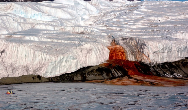 Kwikku, Pada tahun  geologis asal Australia Giffith Taylor berhasil menemukan air bak yang berwarna seperti darah dengan warna merah pekat yang membasahi salju Setelah diselidiki air darah tersebut merupakan hasil dari reaksi zat besi yang teroksidasi ole