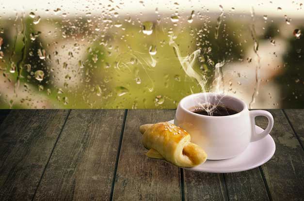 Menikmati Secangkir Kopi Hangat Kwikku, Menikmati Secangkir Kopi Hangat
