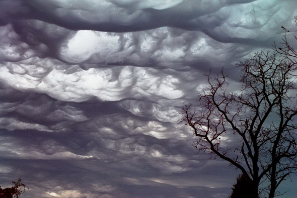 Undulatus Asperatus Kwikku, Undulatus Asperatus