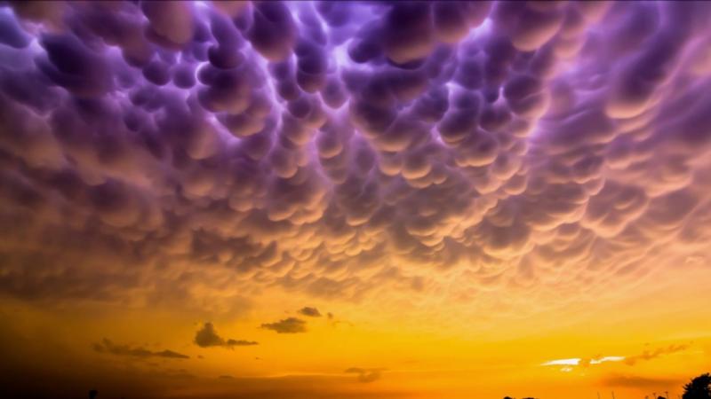 Mammatus Kwikku, Mammatus