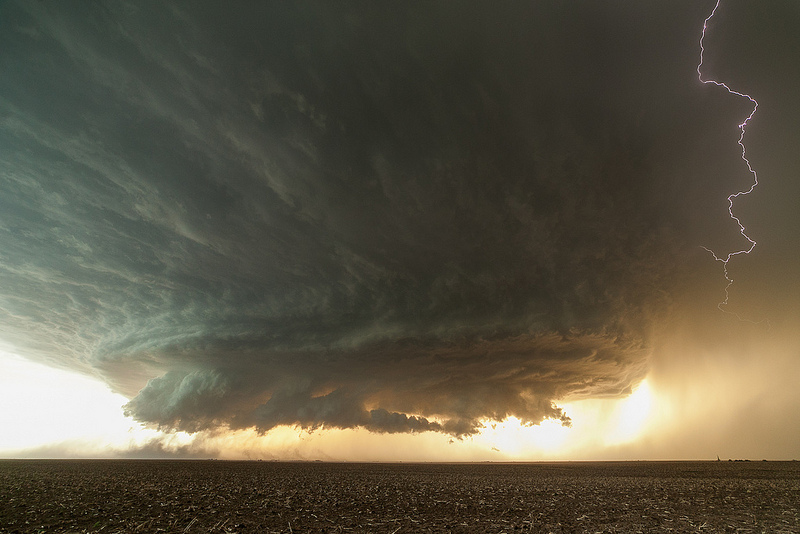 Booker Supercell Kwikku, Booker Supercell