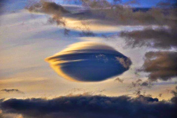 Lenticular Kwikku, Lenticular