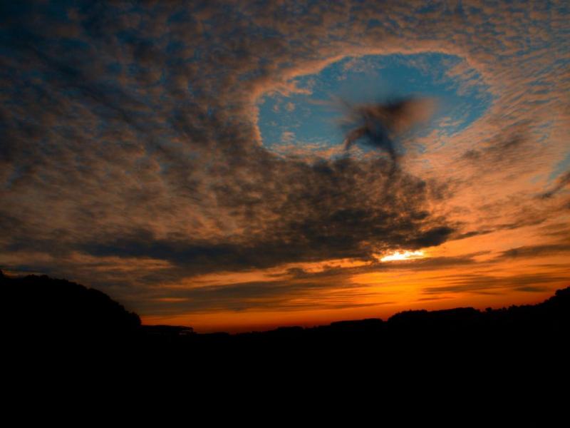 Skypunch Kwikku, Skypunch