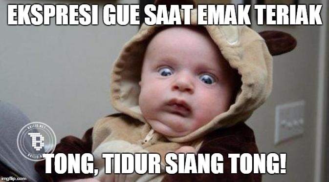 What tidur siang kata loe Kwikku, What tidur siang kata loe