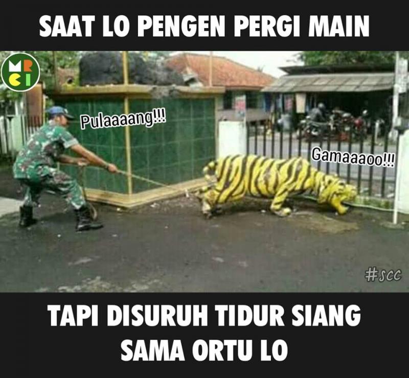 Gak mao tidur siang pokoknya mak Kwikku, Gak mao tidur siang pokoknya mak