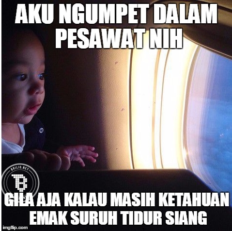 Emak gak akan tahu kalau aku ngumpet dalam pesawat gini Kwikku, Emak gak akan tahu kalau aku ngumpet dalam pesawat gini
