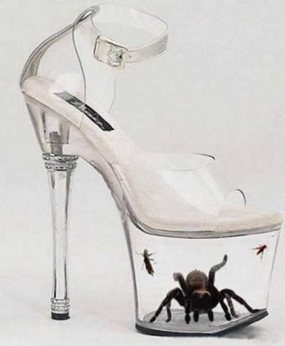 Insect Enlocked Shoes Nah kalau gini pasti geligeli sendiri pas mau pakai Kwikku, Insect Enlocked Shoes Nah kalau gini pasti geligeli sendiri pas mau pakai