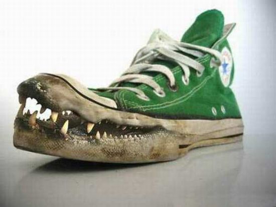 Croc Shoes Ini baru yang namanya The Real Croc Kwikku, Croc Shoes Ini baru yang namanya The Real Croc