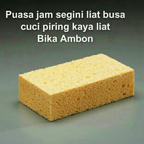 Spon ini bagaikan bika ambon Kwikku, Spon ini bagaikan bika ambon