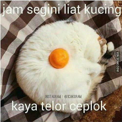 Kirain telo ceplok Kwikku, Kirain telo ceplok