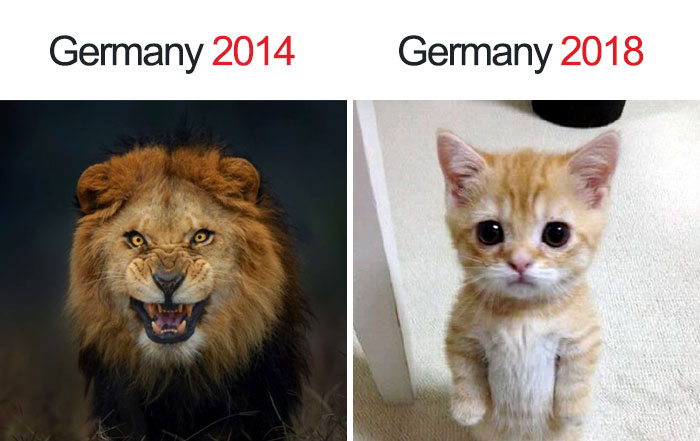 Kwikku, Dulu Jerman dianggap kaya singa sekarang kaya anak kucing 